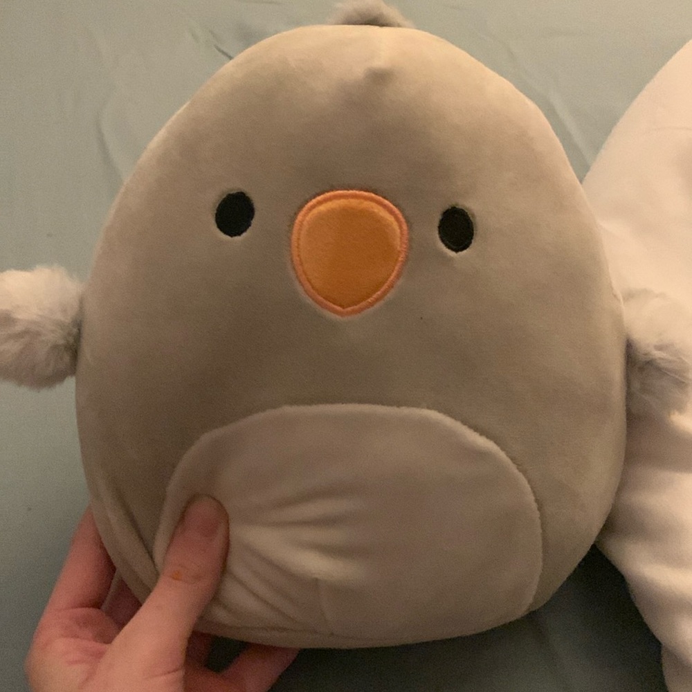 Bird squish